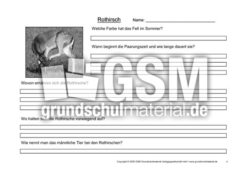 Rothirsch-Fragen-4.pdf